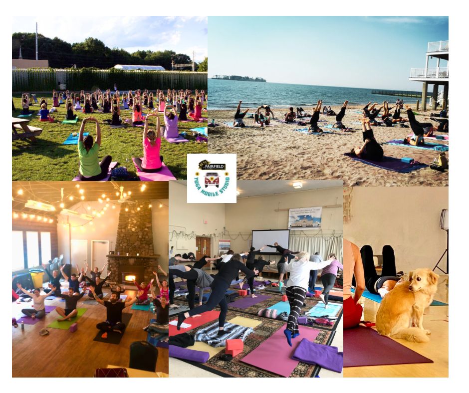 A collage of five Yoga Mobile Studio classes: a lawn, a beach, a warmly lit hall with a fireplace, a community room, and a golden dog beside a student